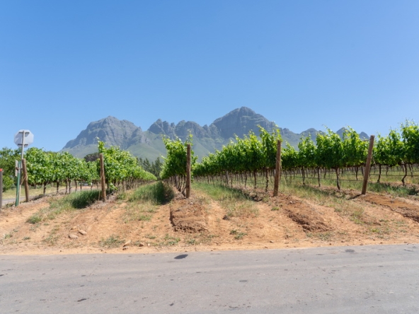085 Lourensford Backlot AS 2023