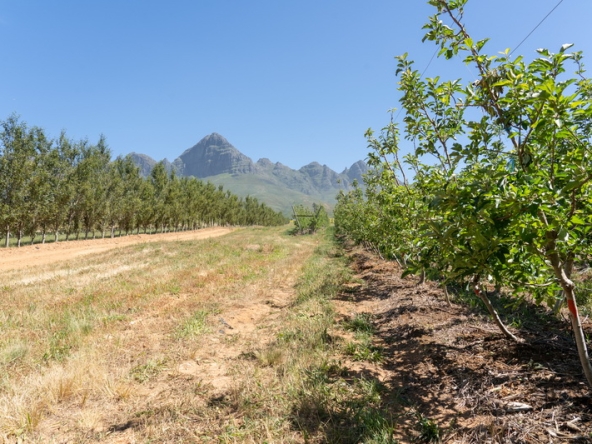 090 Lourensford Backlot AS 2023