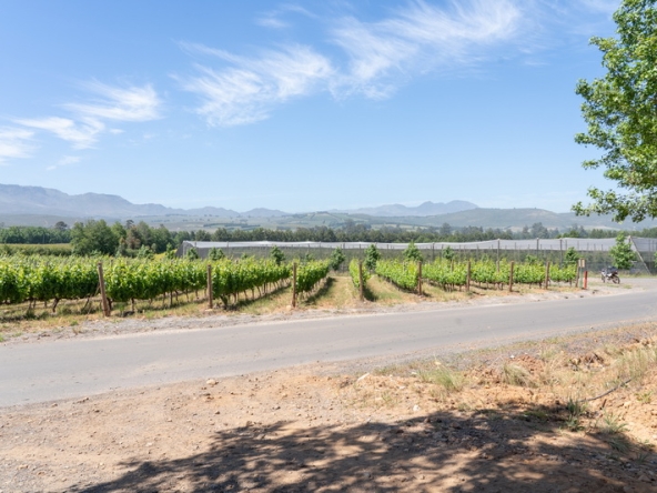 091 Lourensford Backlot AS 2023
