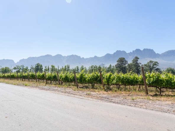092 Lourensford Backlot AS 2023
