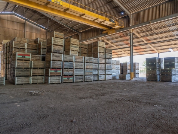 103 Lourensford Backlot AS 2023