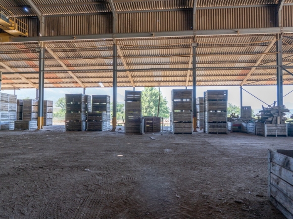 104 Lourensford Backlot AS 2023