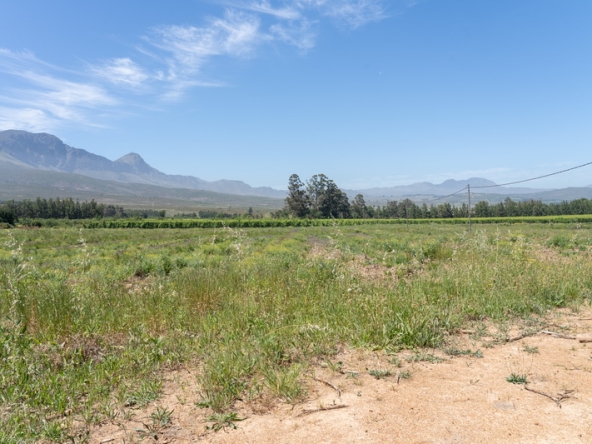 105 Lourensford Backlot AS 2023