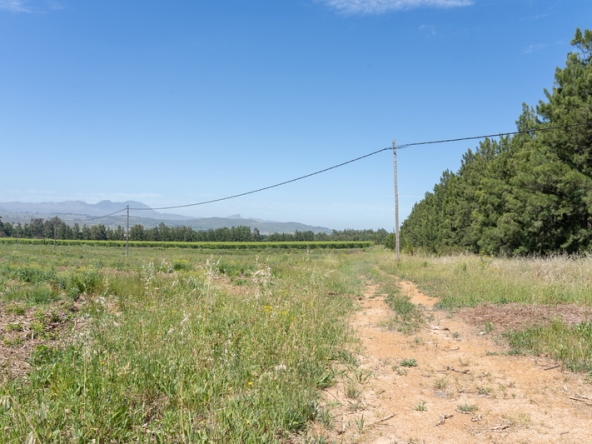 107 Lourensford Backlot AS 2023