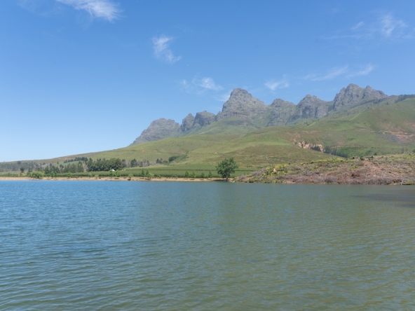 115 Lourensford Backlot AS 2023