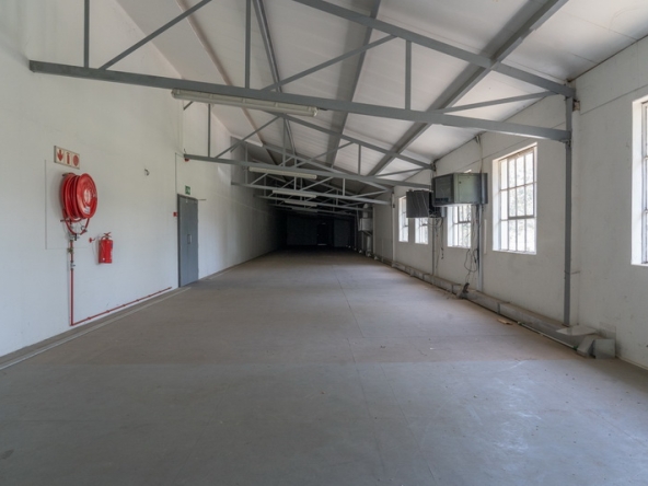 120 NV Film Studio AS 2023
