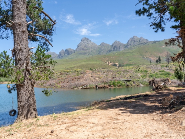 128 Lourensford Backlot AS 2023
