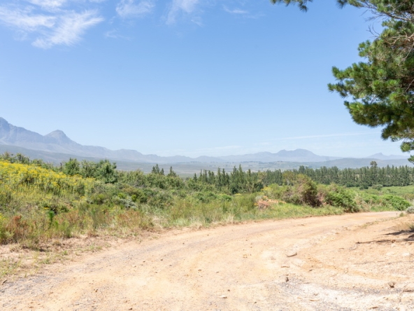 130 Lourensford Backlot AS 2023