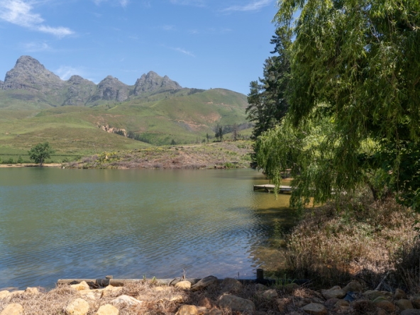 132 Lourensford Backlot AS 2023