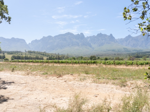 139 Lourensford Backlot AS 2023