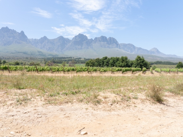 140 Lourensford Backlot AS 2023