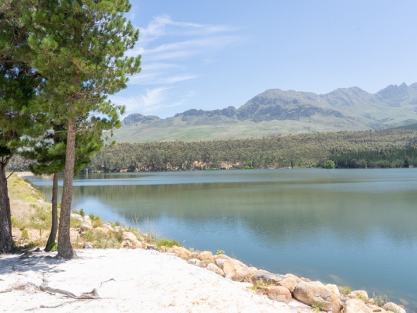 146 Lourensford Backlot AS 2023