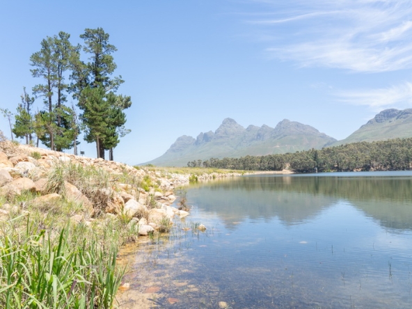 148 Lourensford Backlot AS 2023