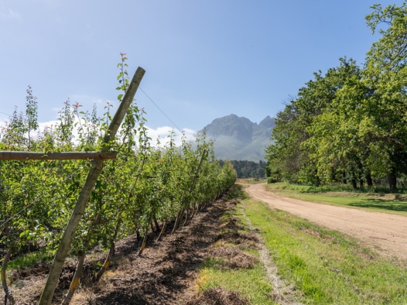 163 Lourensford Backlot AS 2023