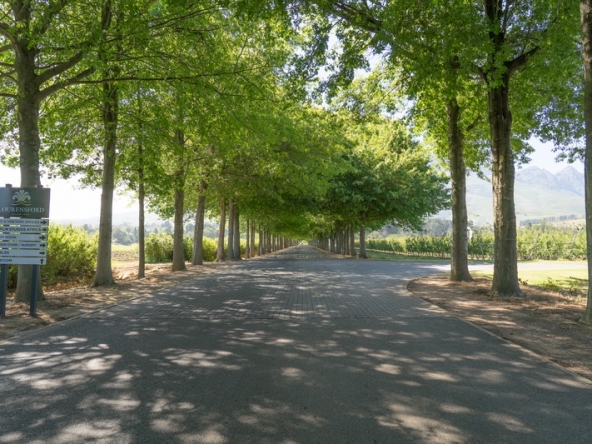 166 Lourensford Backlot AS 2023