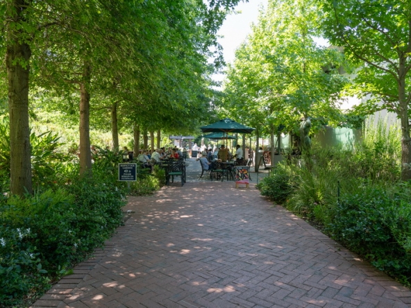 004 Lourensford Backlot AS 2023