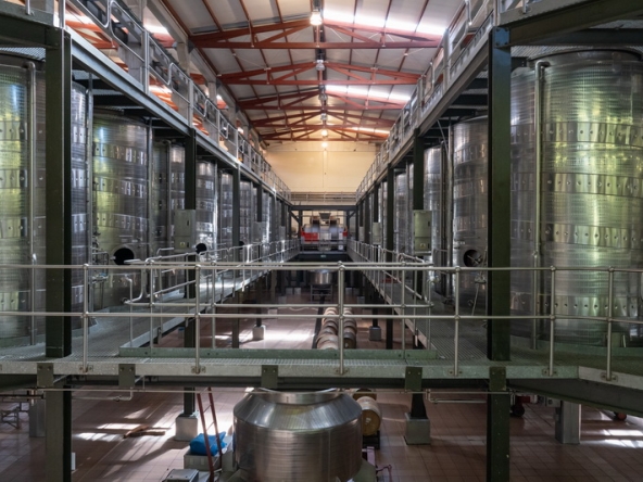 019 Lourensford Cellar AS 2023