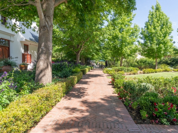 024 Lourensford Backlot AS 2023