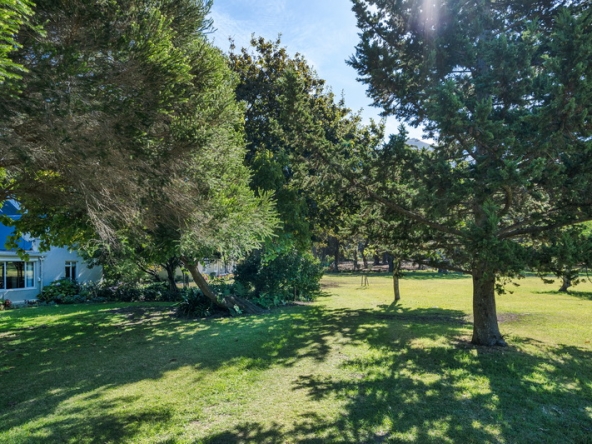 033 Shady Oaks AS 2024