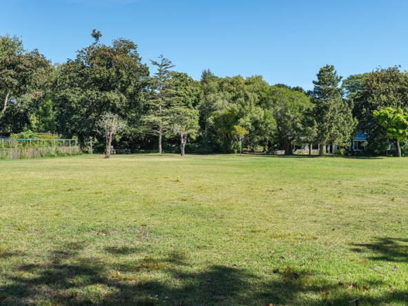 038 Shady Oaks AS 2024