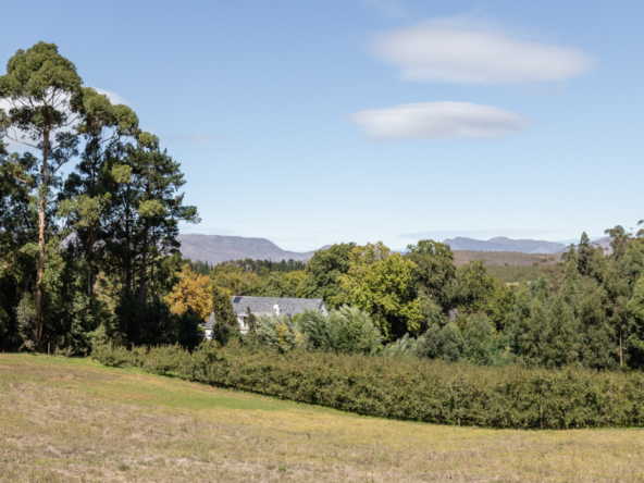 Errigal Farm-73