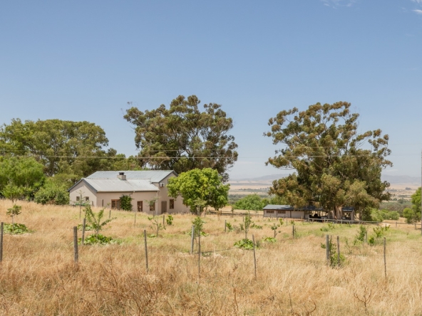 Groenfontein AS 2023-42