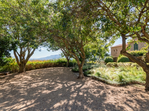 Montpellier AS 2024- 01