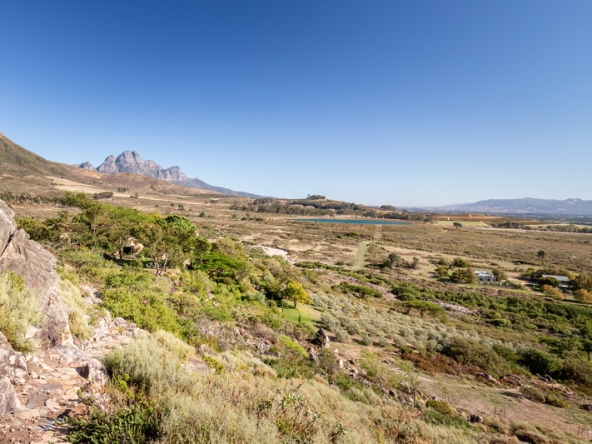 Montpellier AS 2024- 06