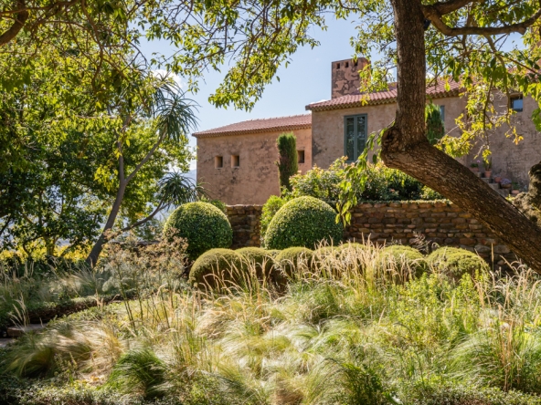 Montpellier AS 2024- 08