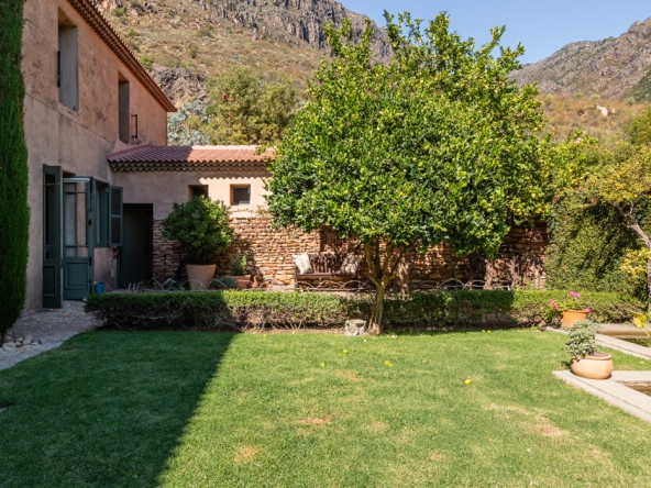 Montpellier AS 2024- 15