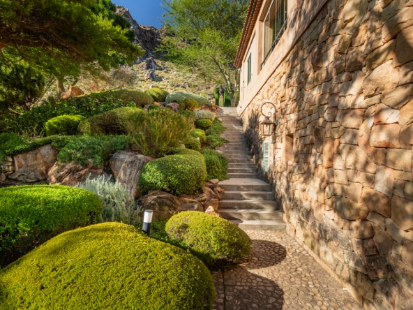 Montpellier AS 2024- 17