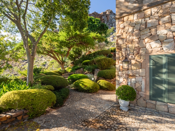 Montpellier AS 2024- 18