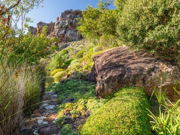 Montpellier AS 2024- 20