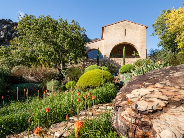 Montpellier AS 2024- 23