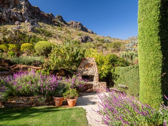 Montpellier AS 2024- 28