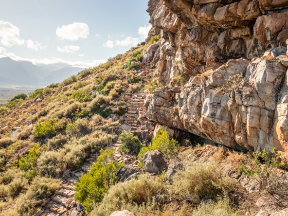 Montpellier AS 2024- 33