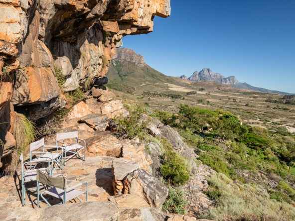 Montpellier AS 2024- 35