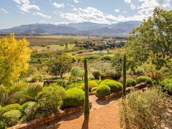 Montpellier AS 2024- 60