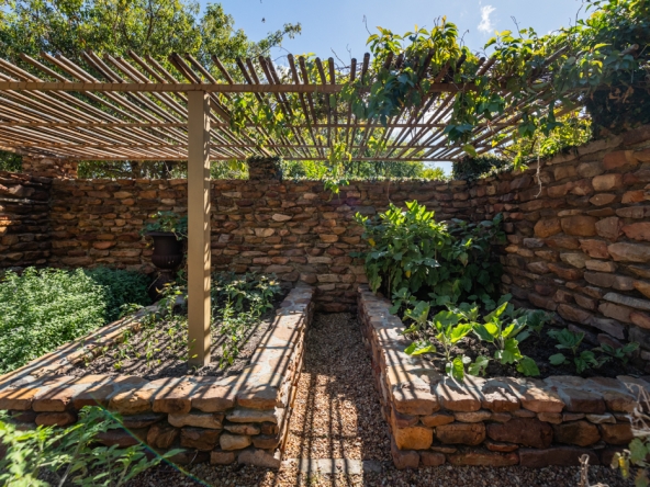 Montpellier AS 2024- 84