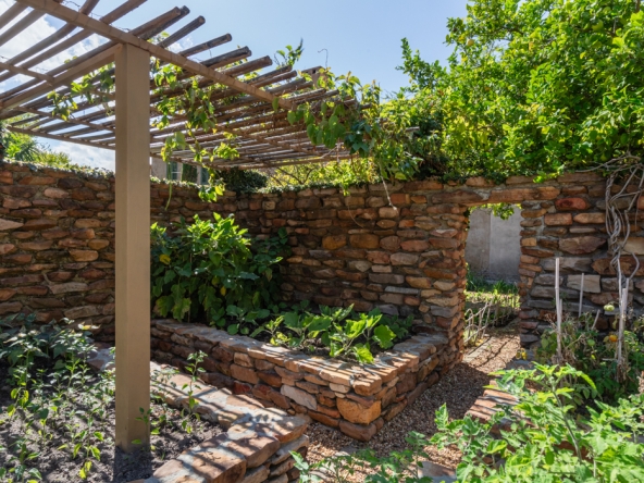 Montpellier AS 2024- 85