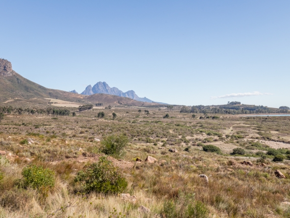 Montpellier AS 2024- 87