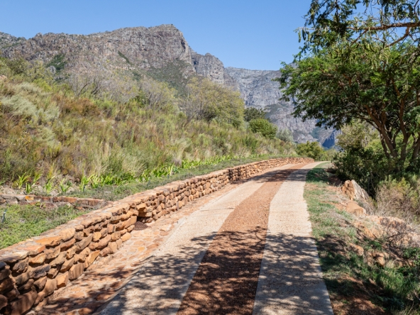 Montpellier AS 2024- 88