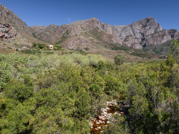 Montpellier AS 2024- 90