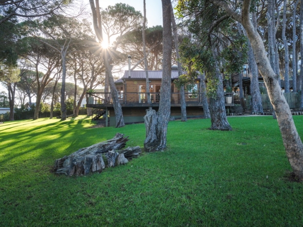 Whispering Pines AS- 045