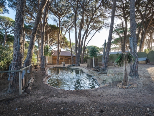 Whispering Pines AS- 068