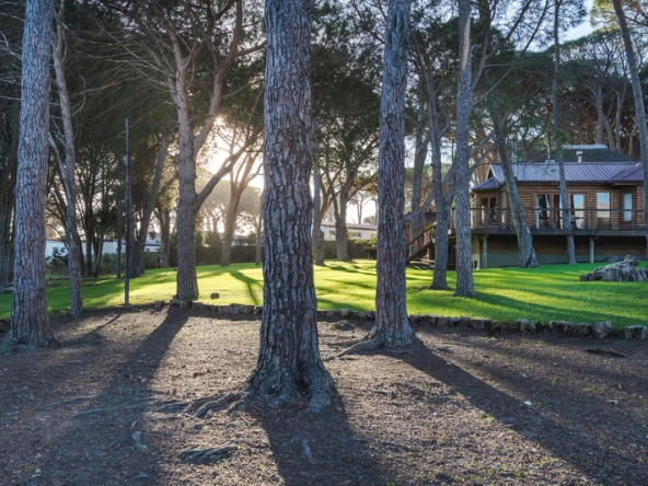 Whispering Pines AS- 071