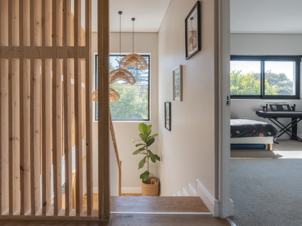 041 Ficus AS 2024