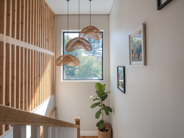 045 Ficus AS 2024