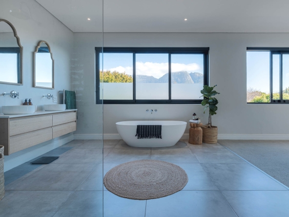 Ficus AS 2024-31