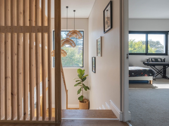 Ficus AS 2024-41